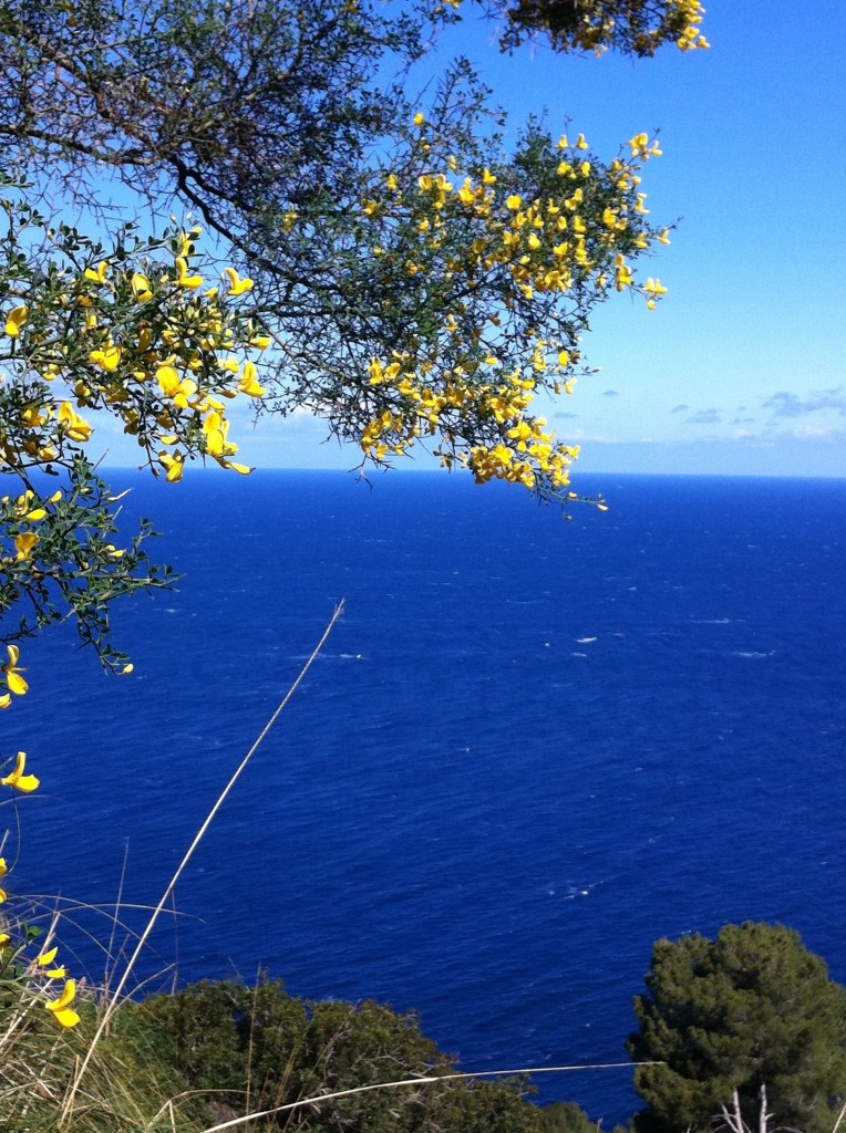 heilfasten-wandern-mallorca03